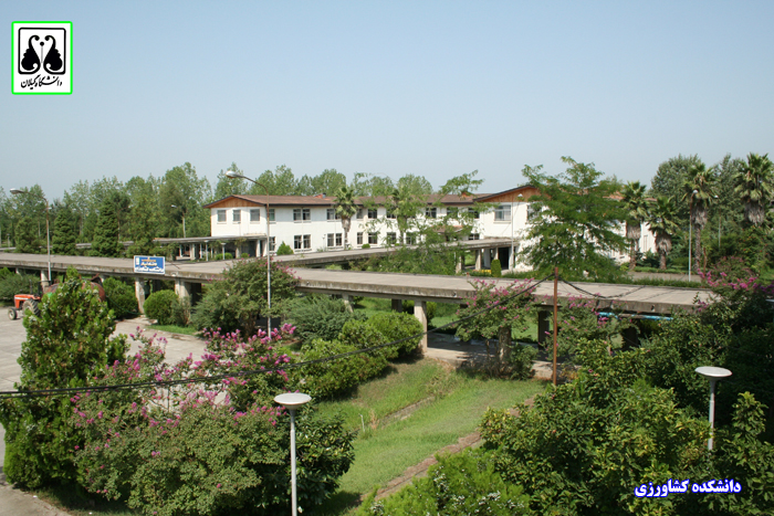 تصویر کوچک
